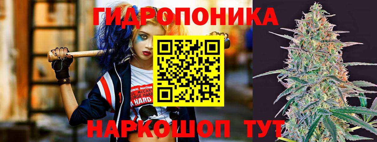 Каннабис индика  Марихуана гибрид  Вход с VPN  Ялуторовск  МАРИХУАНА сатива  Бошки марихуана сатива 